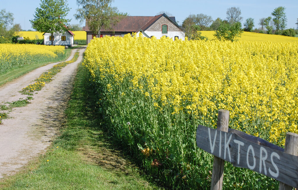 Semesterhus - Vollsjö , Sverige - S11621 3