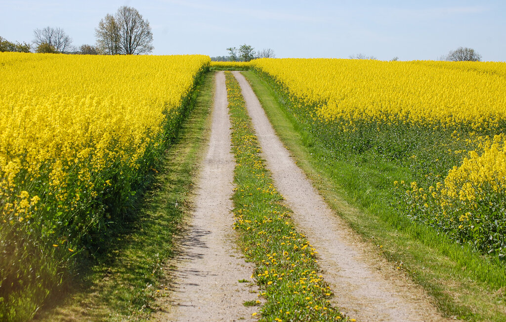Semesterhus - Vollsjö , Sverige - S11621 21