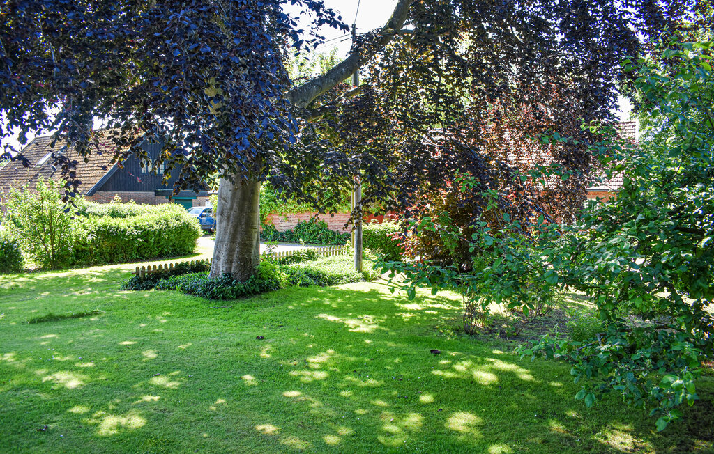 Ferienhaus - Ystad , Schweden - S11968 12
