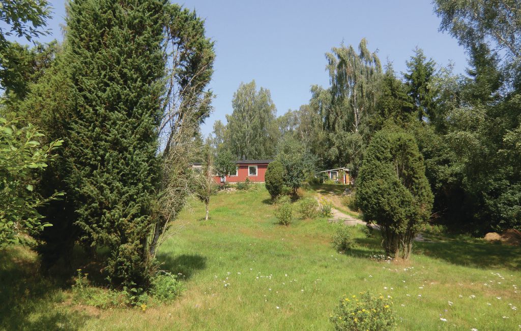 Bild 5 Bild 5