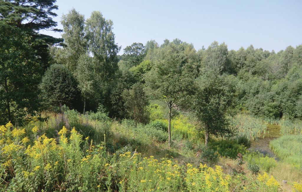 Bild 2 Bild 2