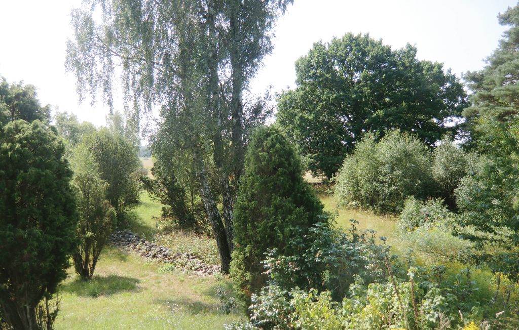 Bild 9 Bild 9