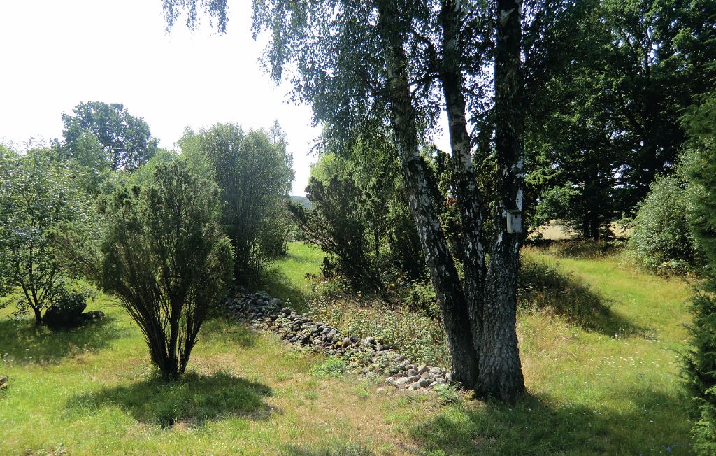 Bild 12 Bild 12