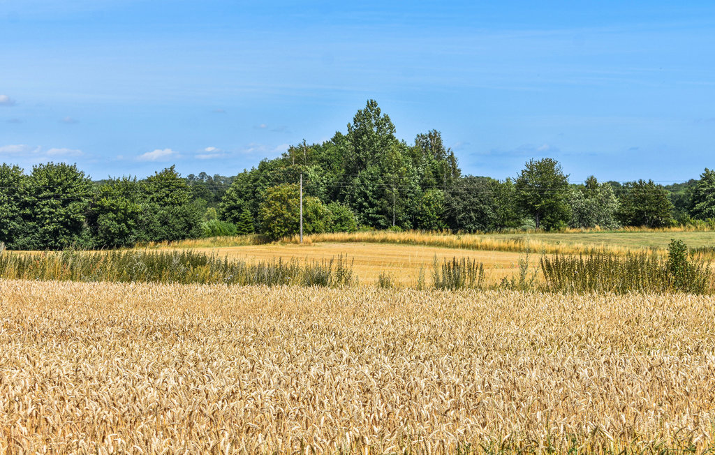 Bild 18