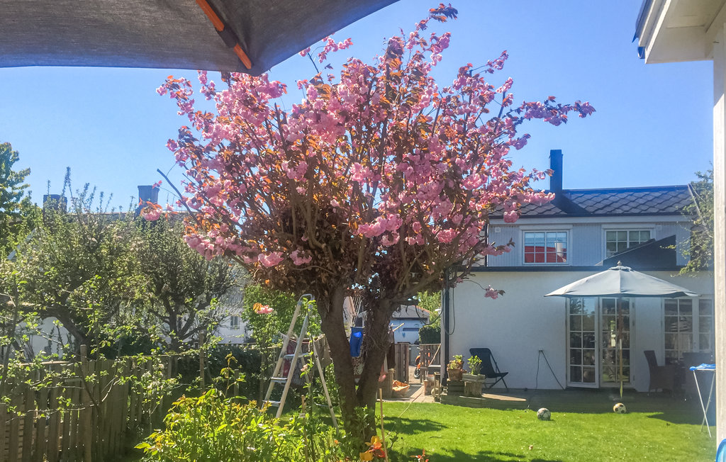 Parhus i Vintrie, 8 bäddar – bild 2 av 5