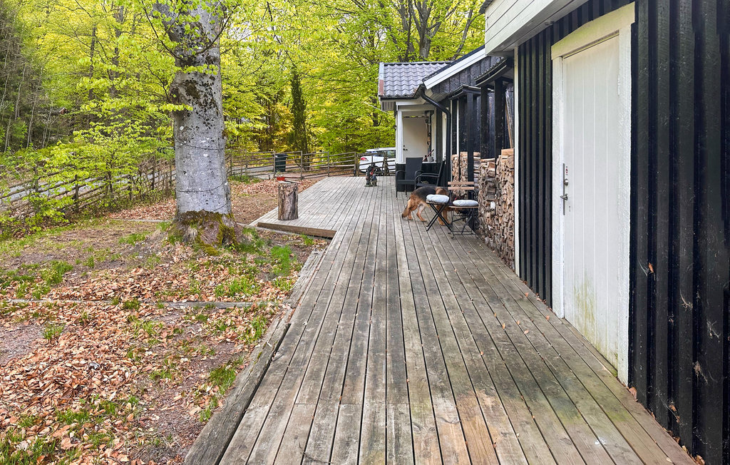 Ferienhaus - Örkelljunga , Schweden - S12151 12