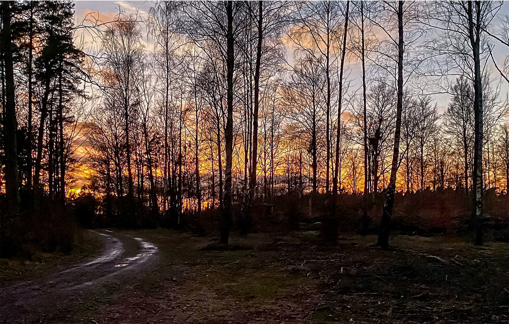 Feriehuse - Ivö/Fjälkinge/Kristianstad , Sverige - S12064 22