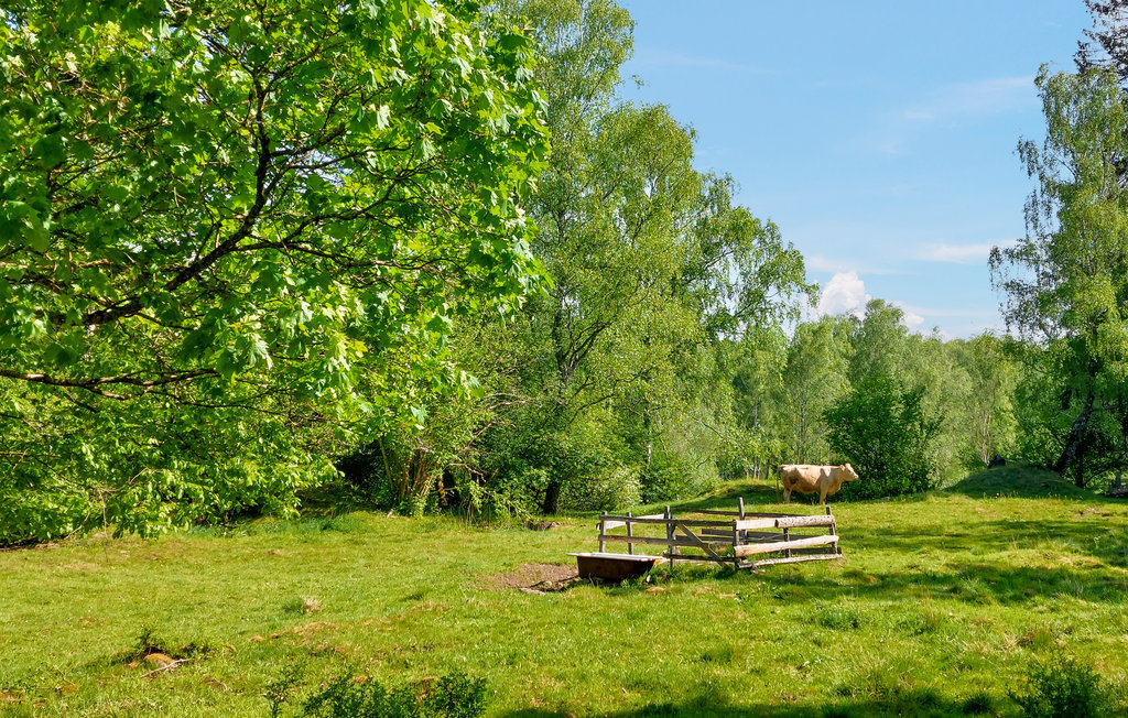 Semesterlägenhet - Ljungbyhed , Sverige - S12003 8