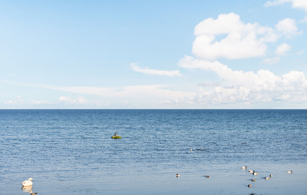 Feriehuse - Beddingestrand , Sverige - S12078 19