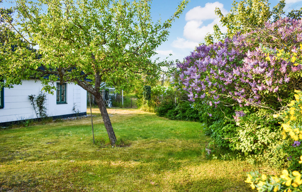Feriehuse - Beddingestrand , Sverige - S12078 10