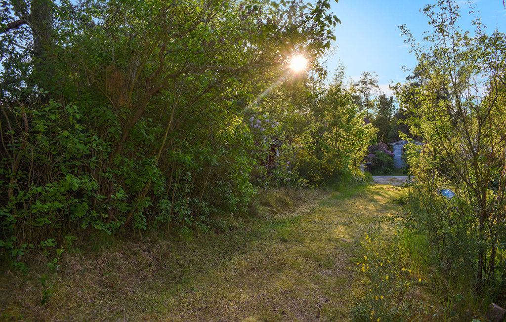 Feriehuse - Beddingestrand , Sverige - S12078 11