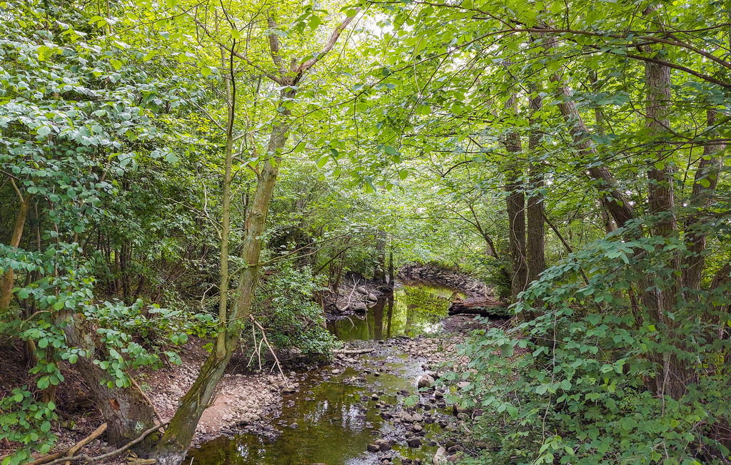 Feriehuse - Vombsjön/Sjöbo , Sverige - S12021 17