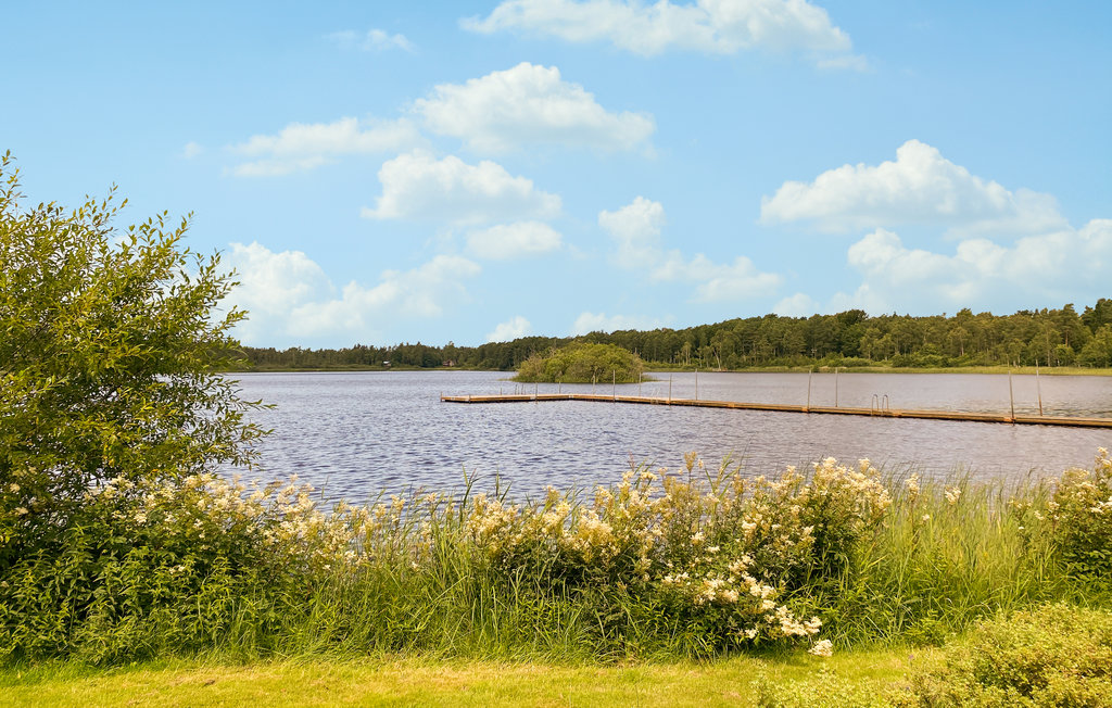 Ferienhaus - Åsljunga/Örkelljunga , Schweden - S12157 2