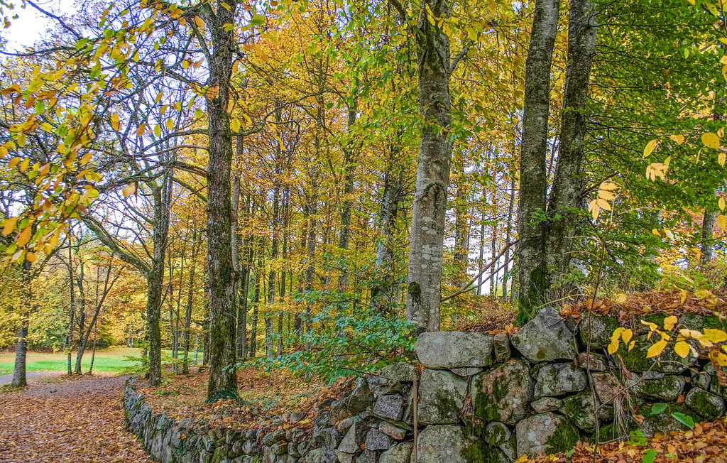 Feriehuse - Ubbalt/Vittsjö , Sverige - S12037 9