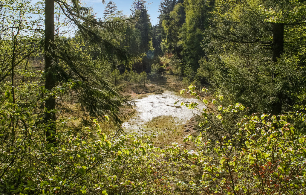 Feriehuse - Ubbalt/Vittsjö , Sverige - S12037 27