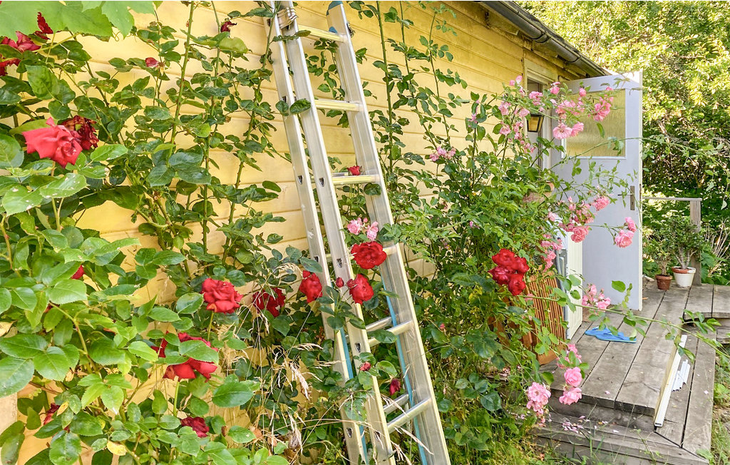 Ferienhaus - Ystad/Snårestad , Schweden - S12090 12