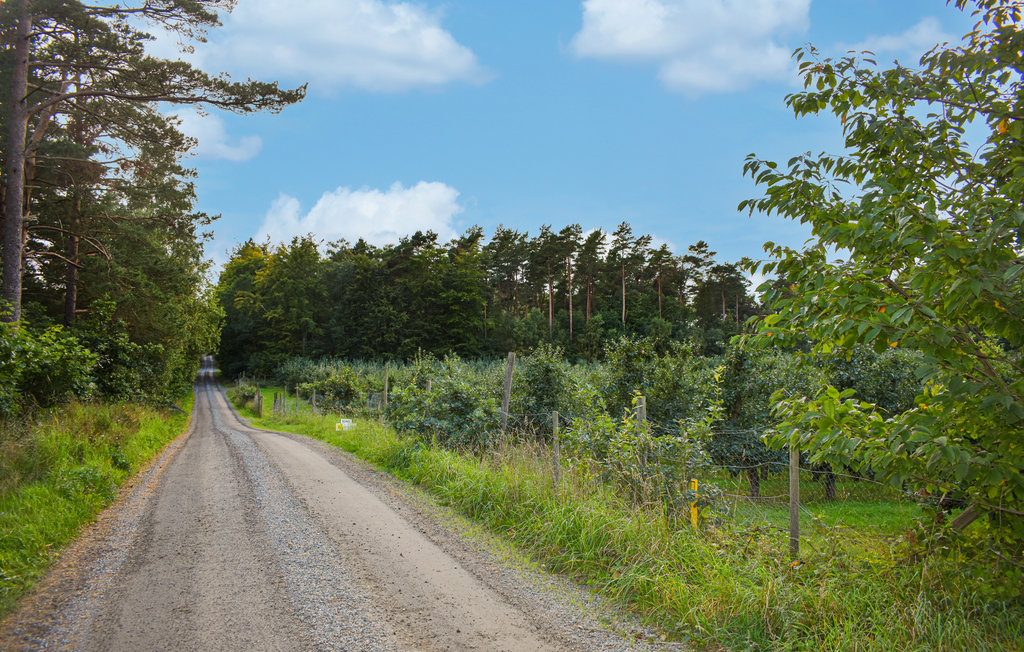Ferienhaus - Simrishamn , Schweden - S12095 28
