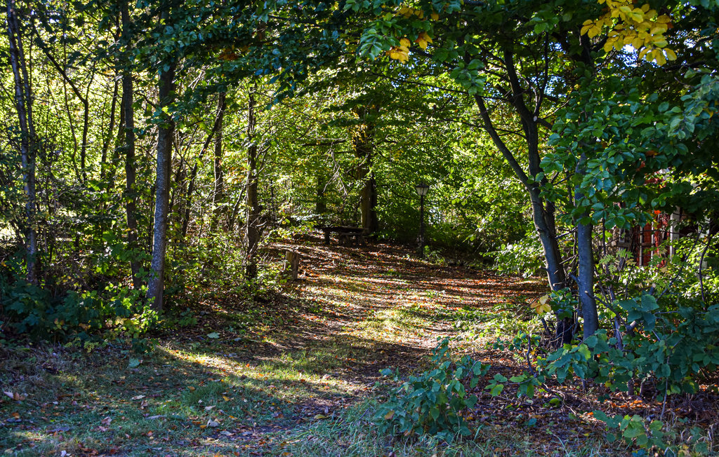 Ferienhaus - Simrishamn , Schweden - S12095 29