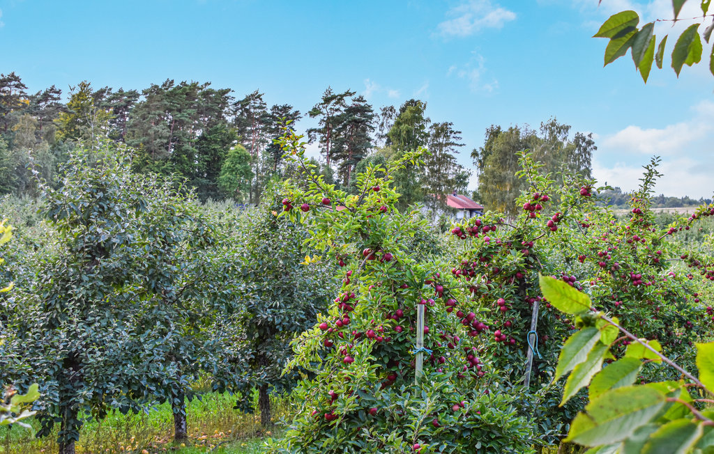 Ferienhaus - Simrishamn , Schweden - S12095 13