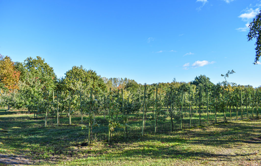 Ferienhaus - Simrishamn , Schweden - S12095 15