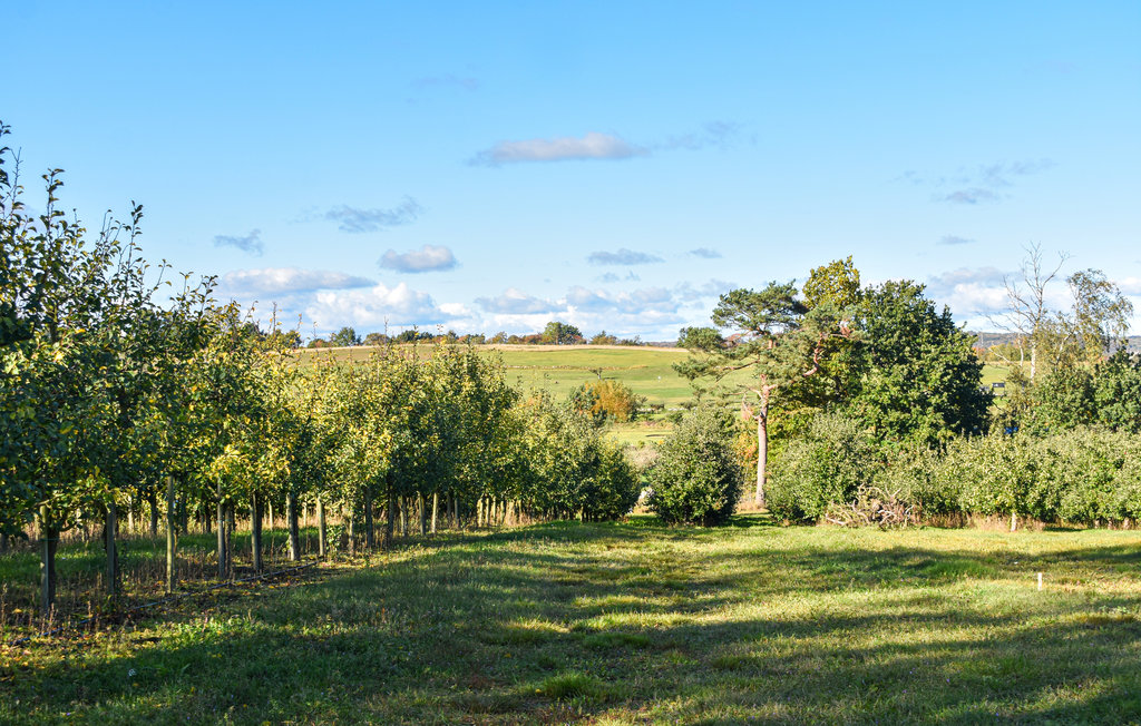 Ferienhaus - Simrishamn , Schweden - S12095 16