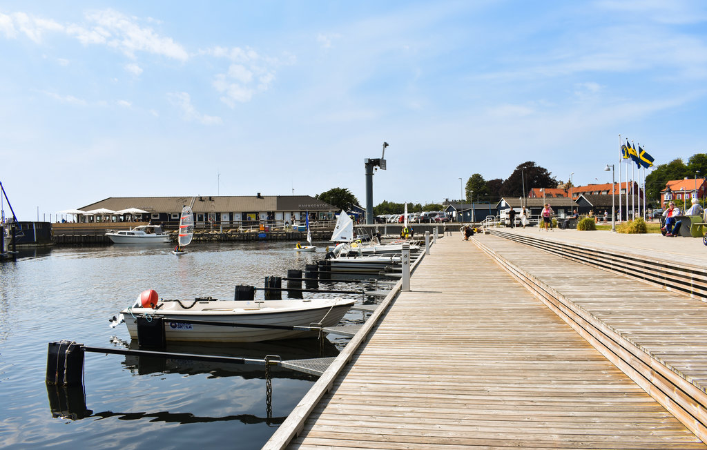 Ferienwohnung - Ystad , Schweden - S12100 12