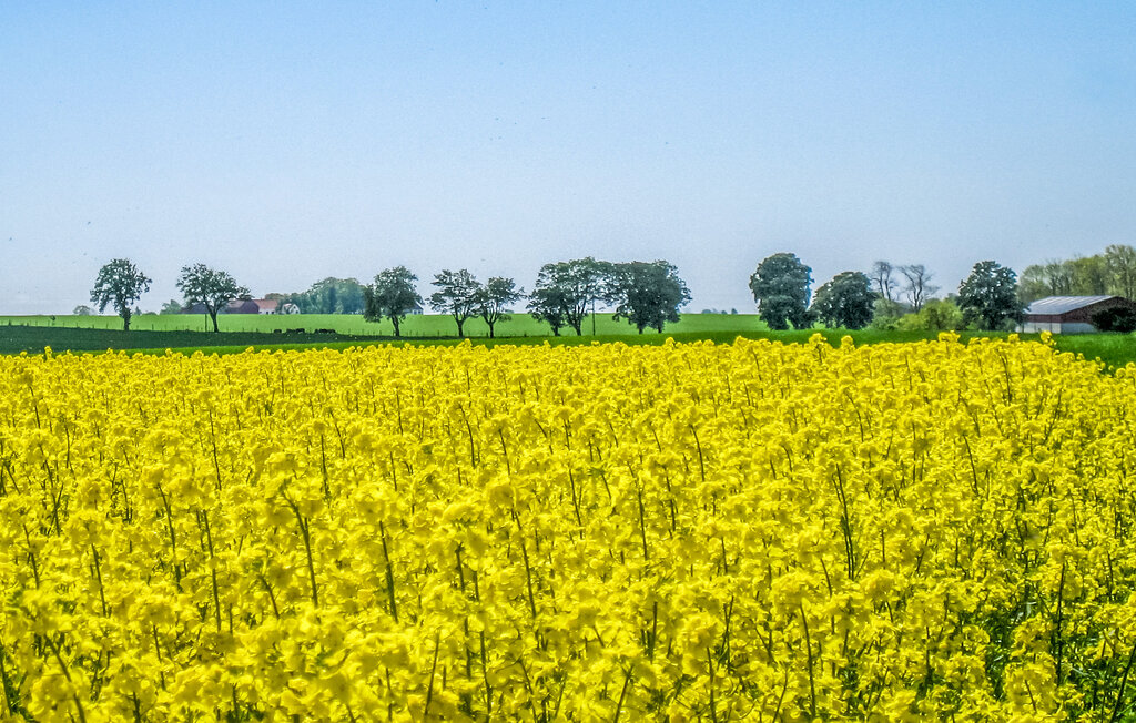 Ferienhaus - Bollerup/Tomelilla , Schweden - S12103 24