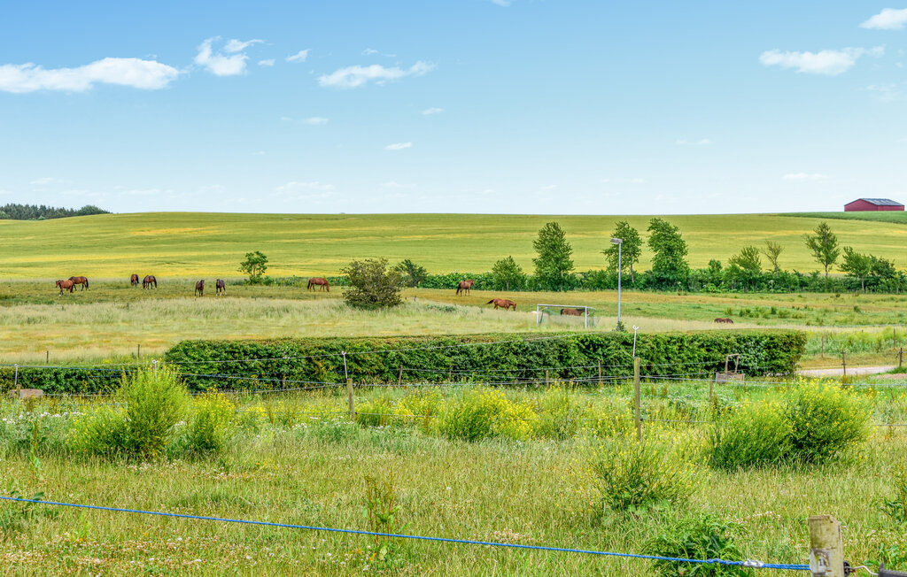 Ferienhaus - Bollerup/Tomelilla , Schweden - S12103 27