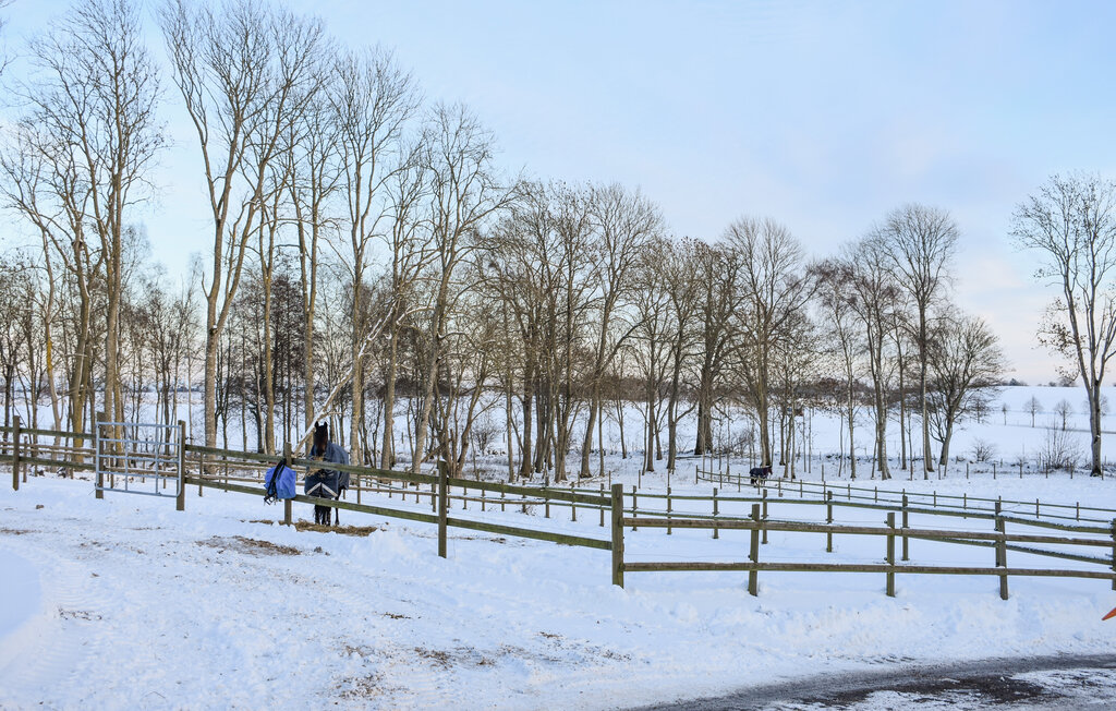 Ferienhaus - Bollerup/Tomelilla , Schweden - S12103 35