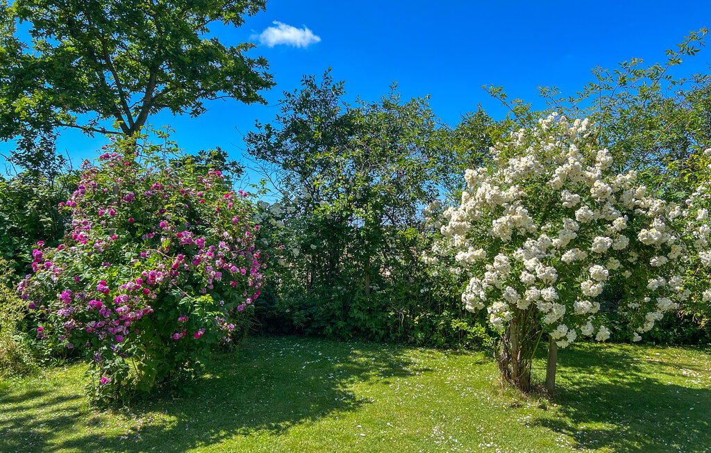 Ferienhaus - Torekov/Båstad , Schweden - S12008 15