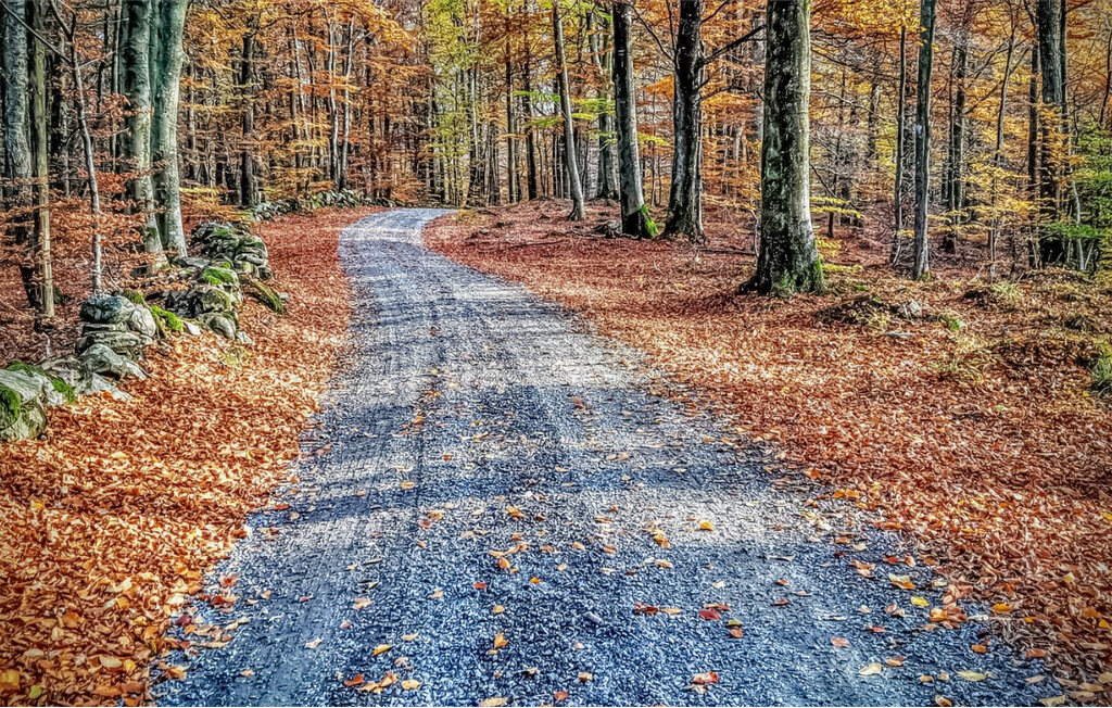 Ferienhaus - Svenstorp/Tyringe , Schweden - S12172 9