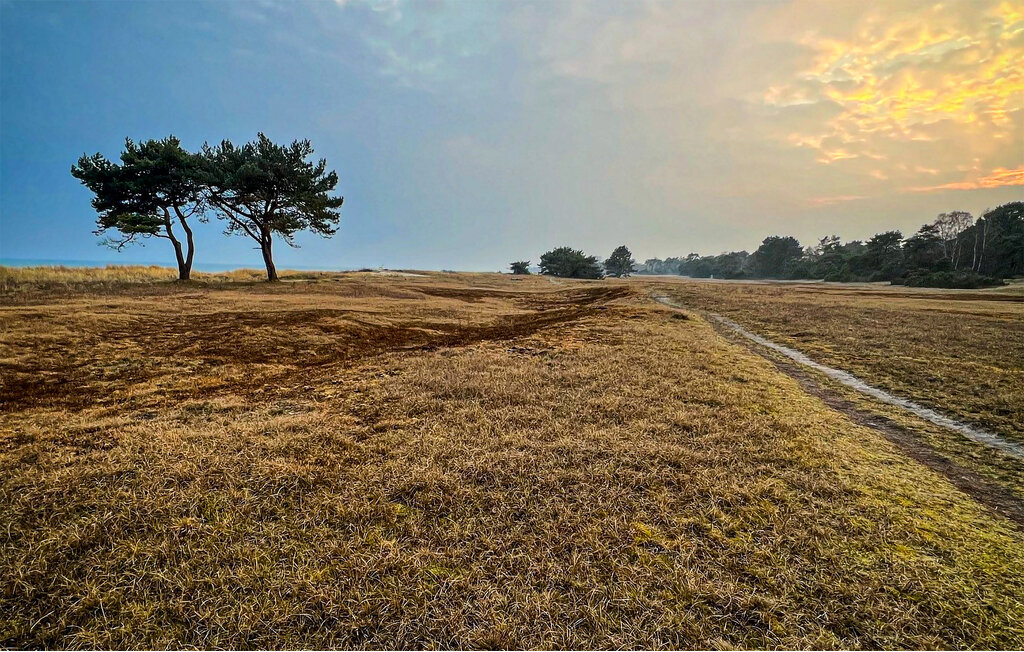 Location de vacances - Beddingestrand/Ystad , Suède - S12123 16
