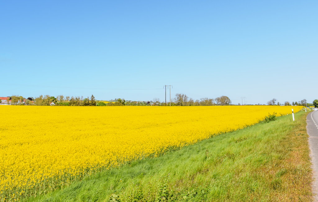 Ferienhaus - Simrishamn/Gyllebo , Schweden - S12119 7