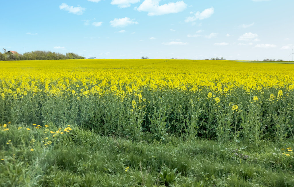 Ferienhaus - Simrishamn/Gyllebo , Schweden - S12119 13