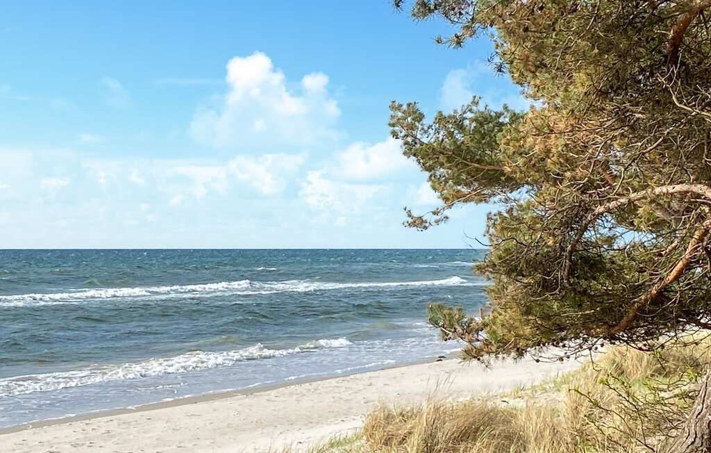 Ferienhaus - Beddingestrand/Ystad , Schweden - S12125 22
