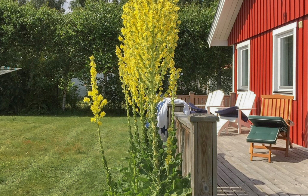 Ferienhaus - Beddingestrand/Ystad , Schweden - S12125 10