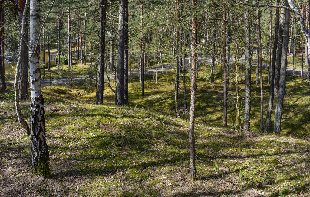 Ferienhaus - Åhus/Yngsjö , Schweden - S12105 14