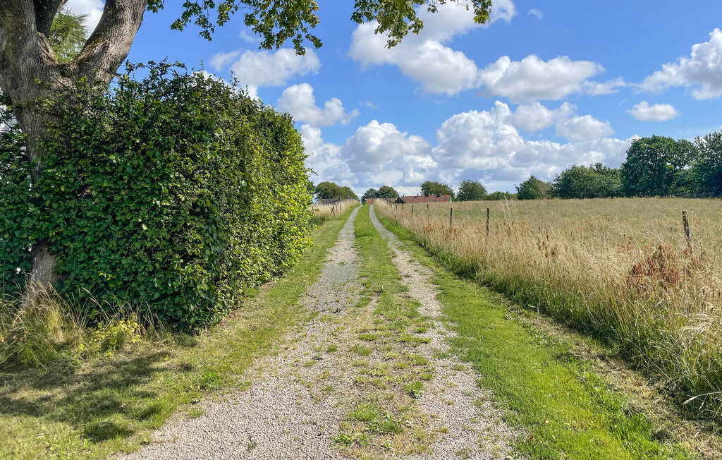 Ferienhaus - Simrishamn/Gärsnäs , Schweden - S12134 15