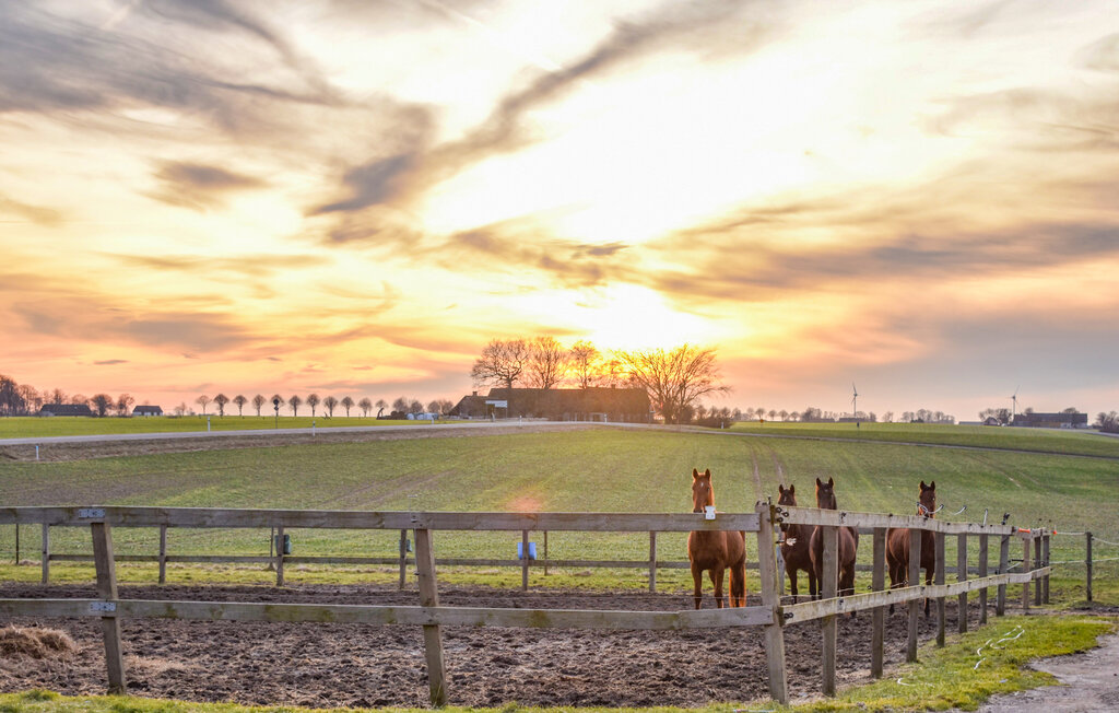 Ferienhaus - Ystad/Simrishamn , Schweden - S12110 2