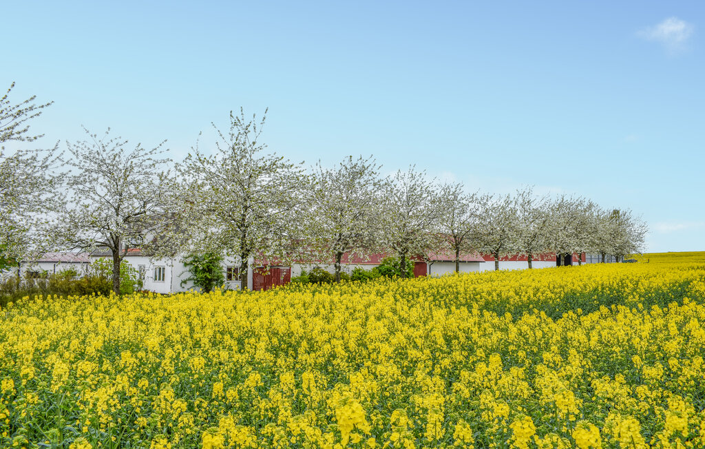 Ferienhaus - Ystad/Simrishamn , Schweden - S12110 8