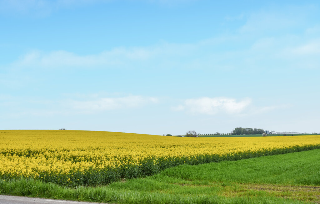 Ferienhaus - Ystad/Simrishamn , Schweden - S12110 7