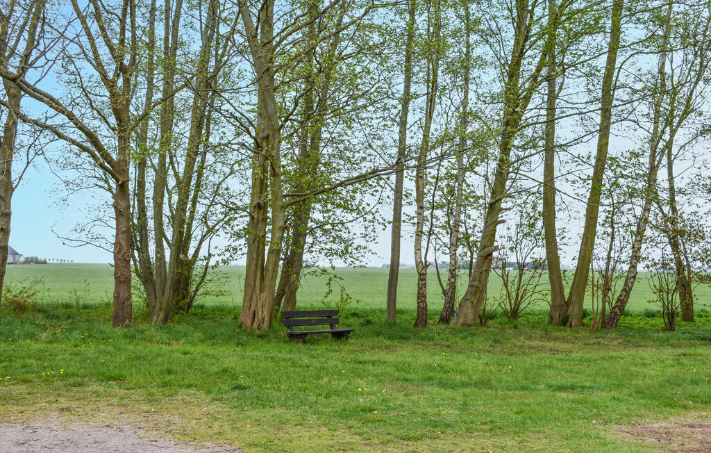 Ferienhaus - Beddingestrand/Ystad , Schweden - S12125 15