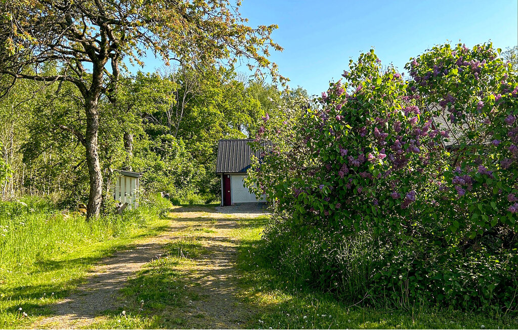 Kuća-za-odmor - Brösarp/Österlen , Švedska - S12158 11