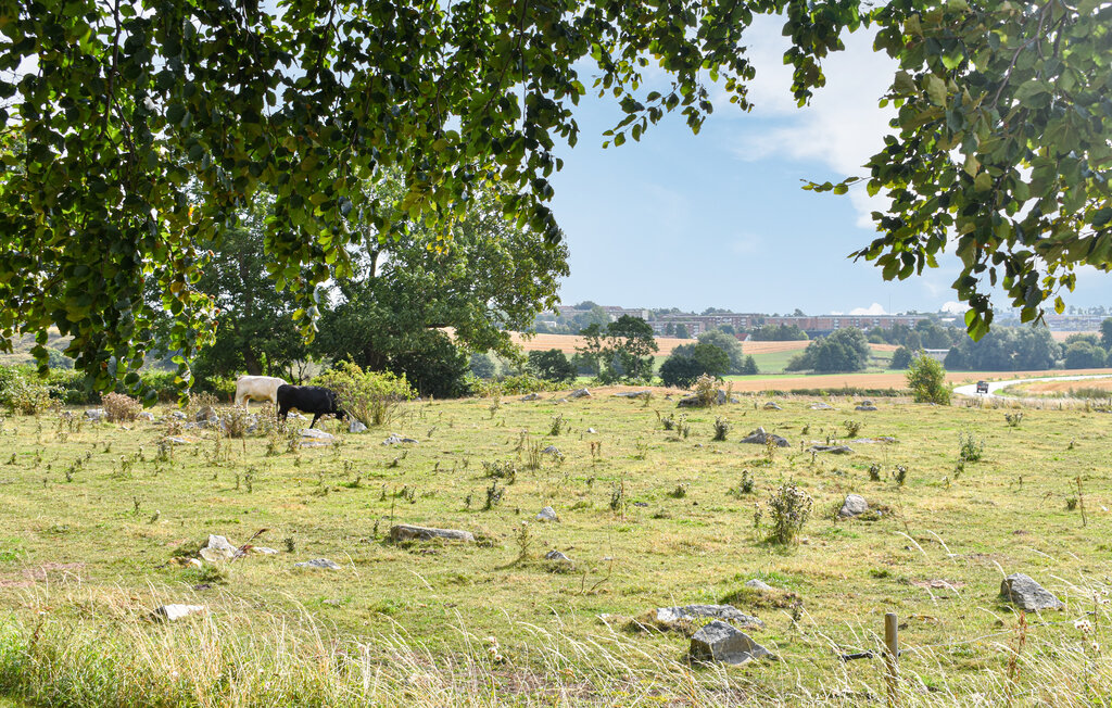 Ferienhaus - Simrishamn , Schweden - S12143 17