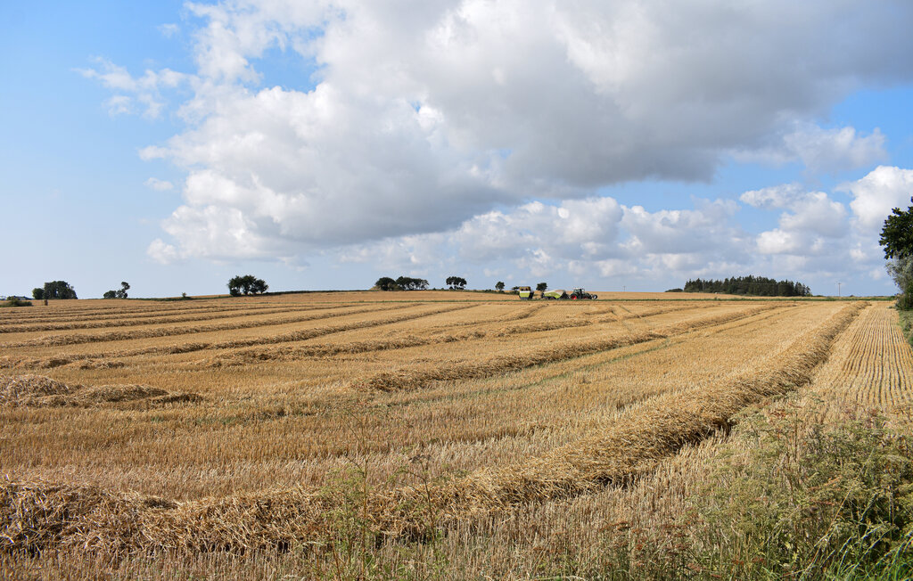 Ferienhaus - Simrishamn , Schweden - S12143 18
