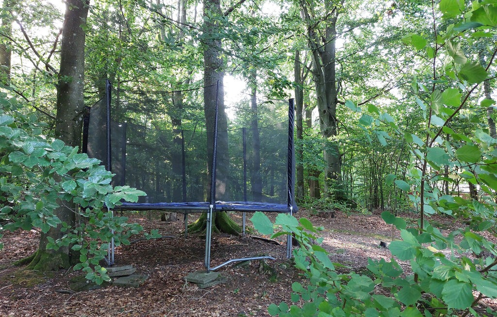 Ferienhaus - Höör/Bokeslund , Schweden - S12055 9