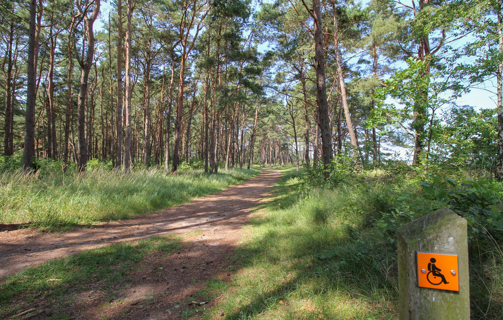 Domy wakacyjne - Farhult/Höganäs , Szwecja - S12215 27