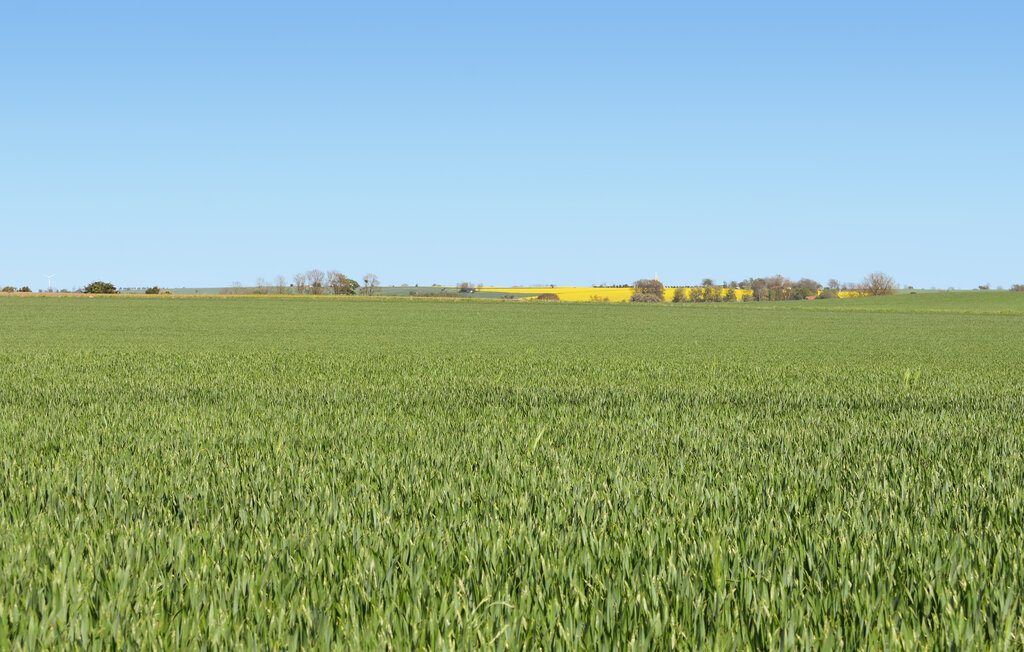 Ferienhaus - Österlen/Tomelilla/Ystad , Schweden - S12248 14