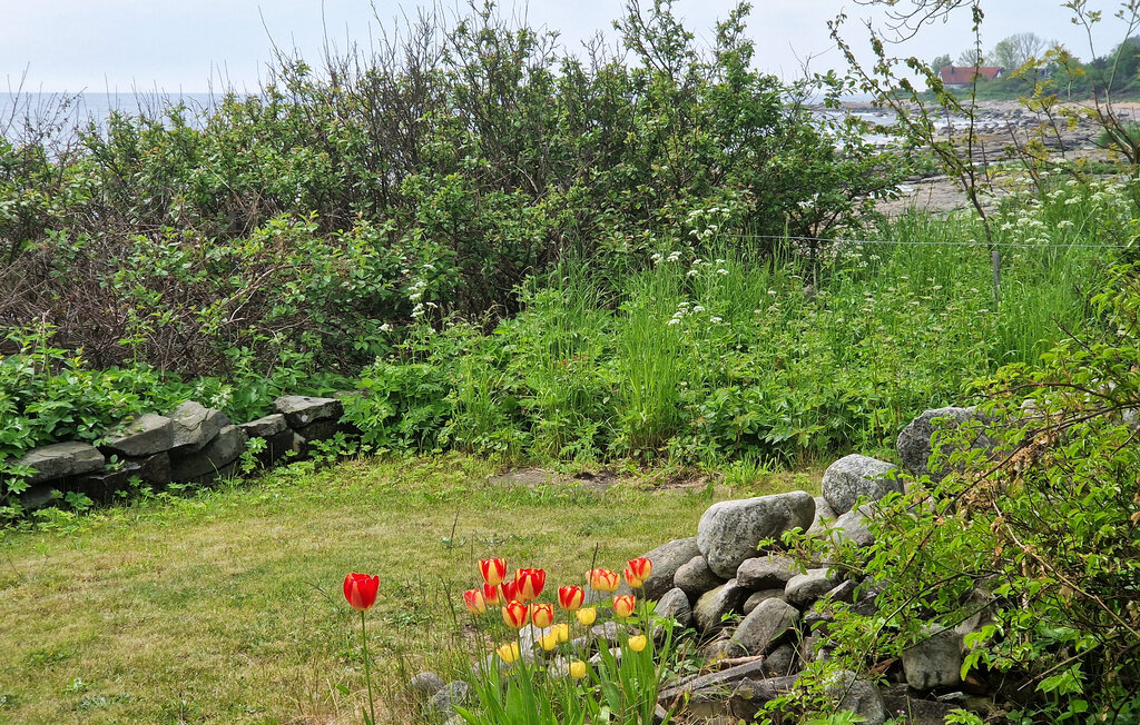 Ferienhaus - Simrishamn , Schweden - S12254 10