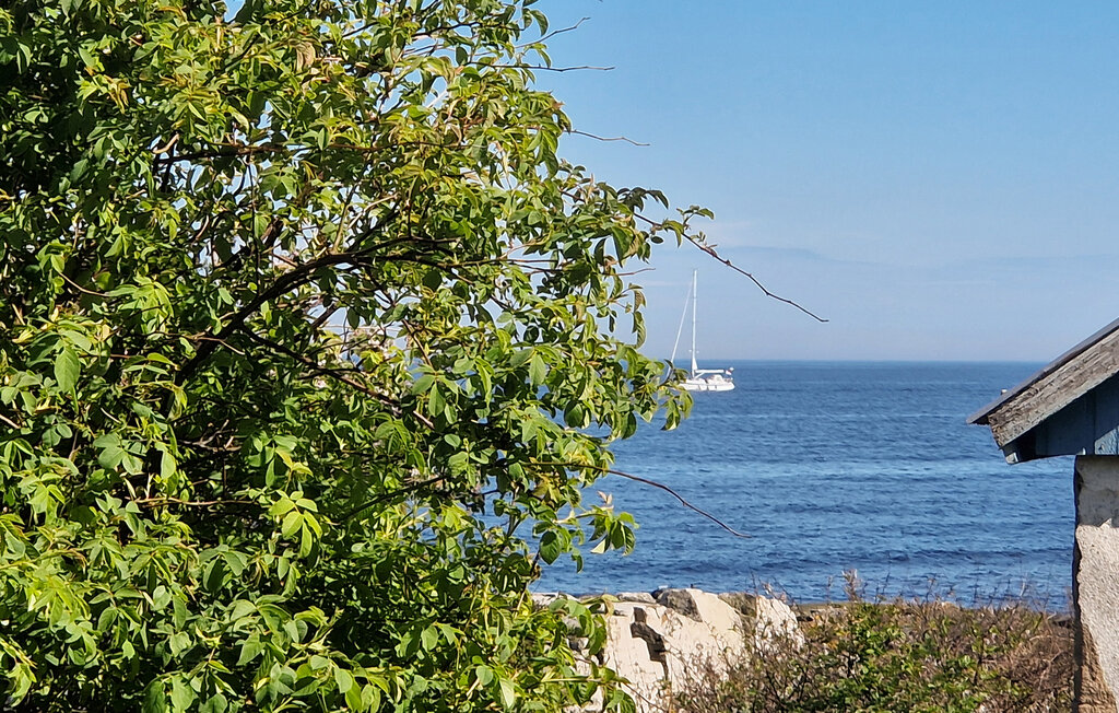 Ferienhaus - Simrishamn , Schweden - S12254 12
